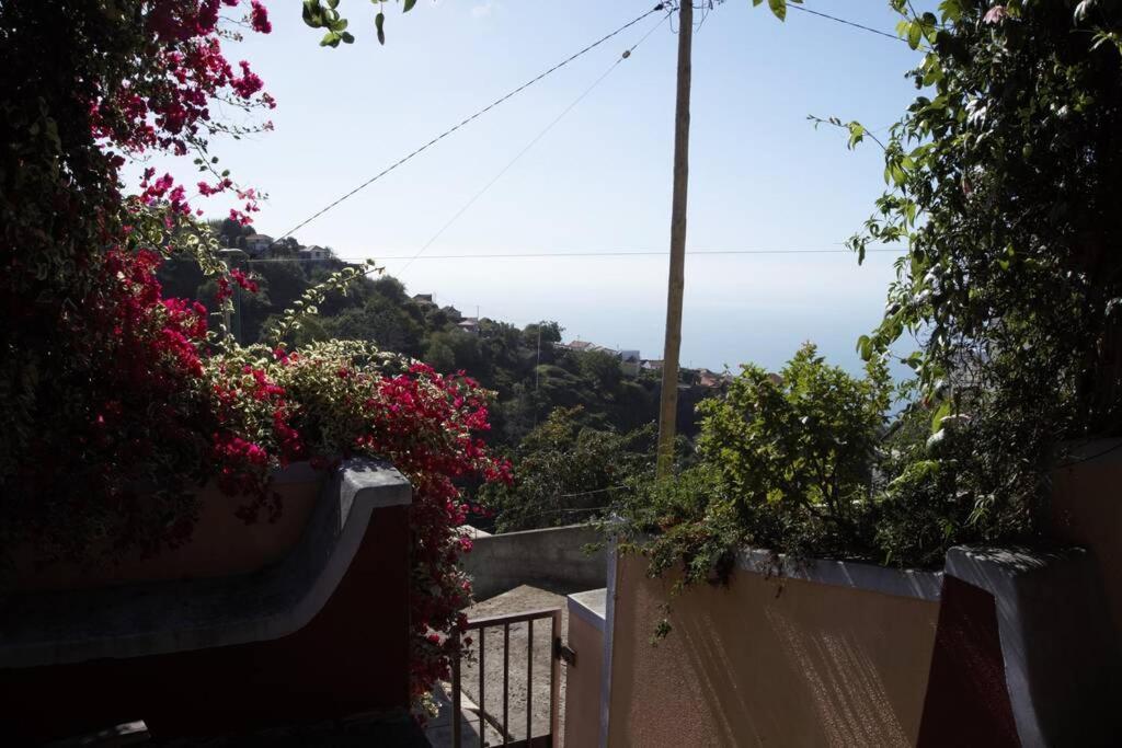 Raposeira De Sao Joao, The Feeling Of Peace, Space And Quiet, Whole Villa Is Yours 파야다오벨라 외부 사진