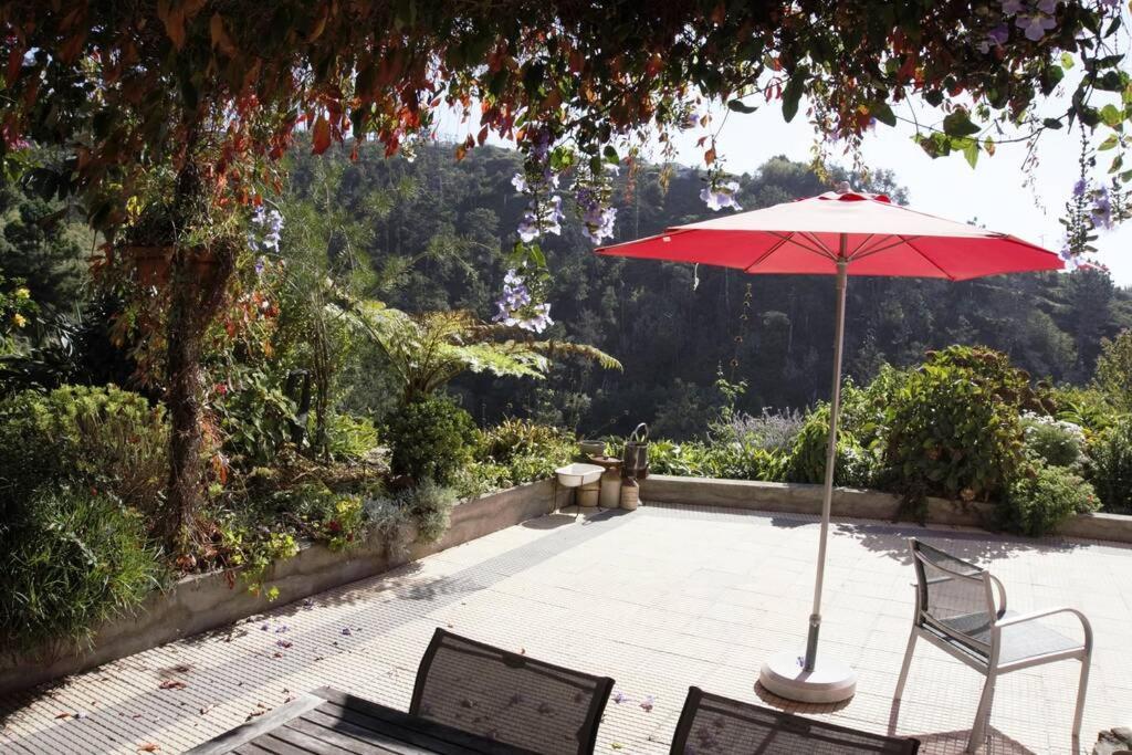 Raposeira De Sao Joao, The Feeling Of Peace, Space And Quiet, Whole Villa Is Yours 파야다오벨라 외부 사진