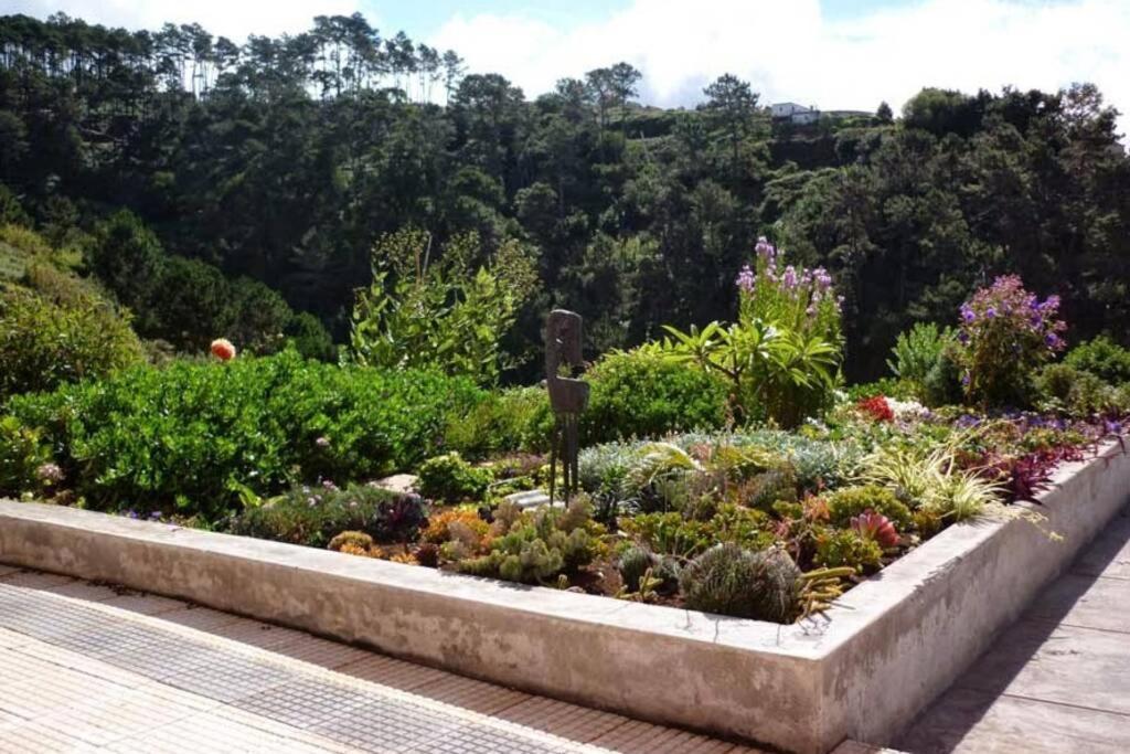 Raposeira De Sao Joao, The Feeling Of Peace, Space And Quiet, Whole Villa Is Yours 파야다오벨라 외부 사진
